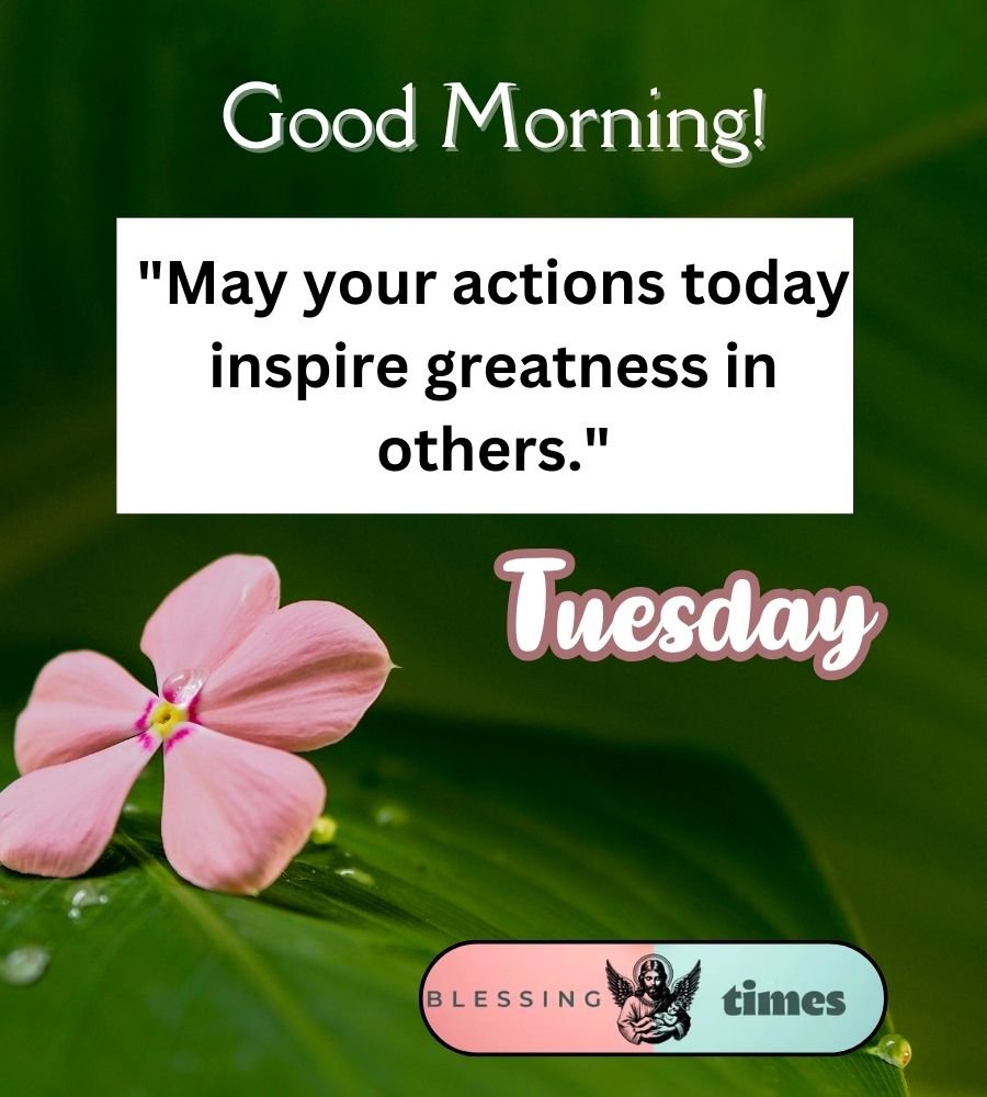 Tuesday Quotes